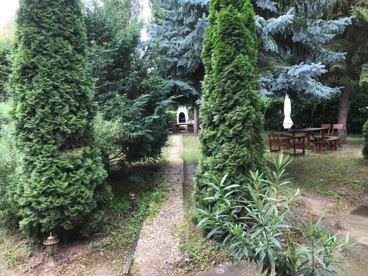 مبيت وإفطار Platanus Vendeghaz زاماردي المظهر الخارجي الصورة